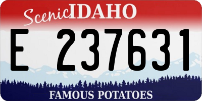 ID license plate E237631