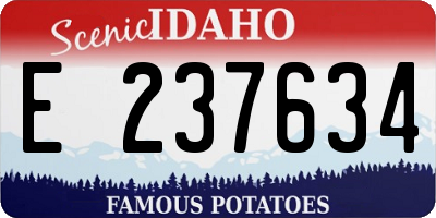 ID license plate E237634