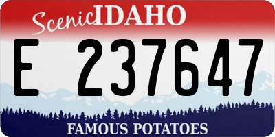 ID license plate E237647