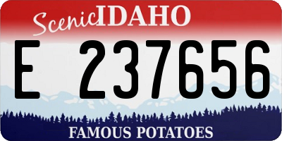 ID license plate E237656