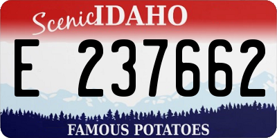 ID license plate E237662