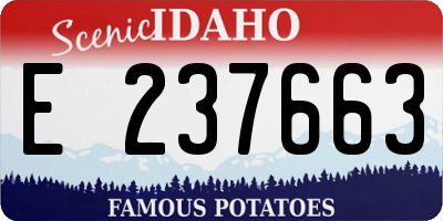 ID license plate E237663