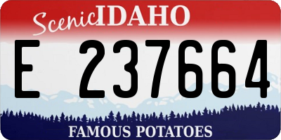 ID license plate E237664