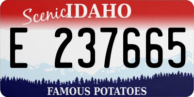 ID license plate E237665