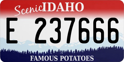 ID license plate E237666