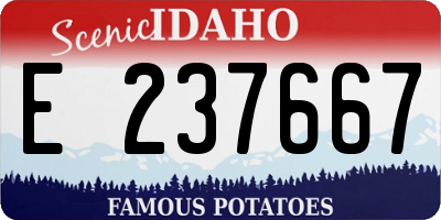 ID license plate E237667