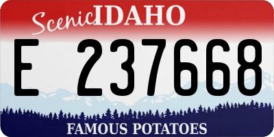 ID license plate E237668