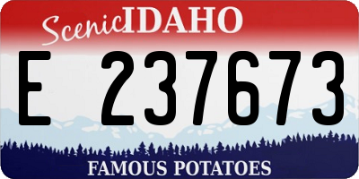 ID license plate E237673