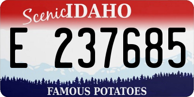 ID license plate E237685