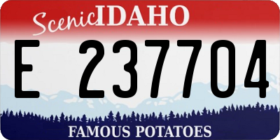 ID license plate E237704