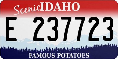 ID license plate E237723