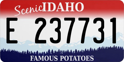 ID license plate E237731