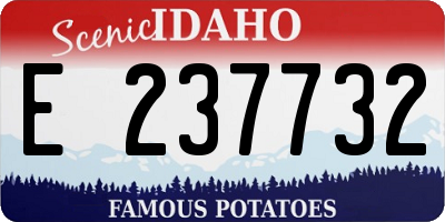 ID license plate E237732
