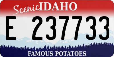 ID license plate E237733