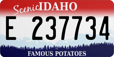 ID license plate E237734