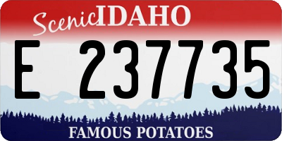 ID license plate E237735