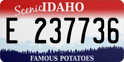 ID license plate E237736