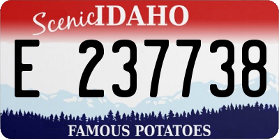 ID license plate E237738