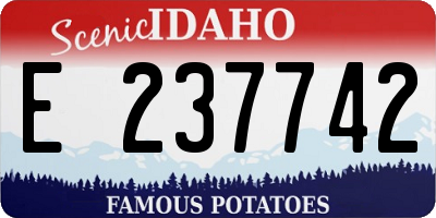 ID license plate E237742