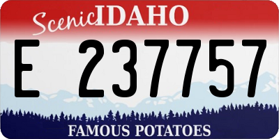 ID license plate E237757