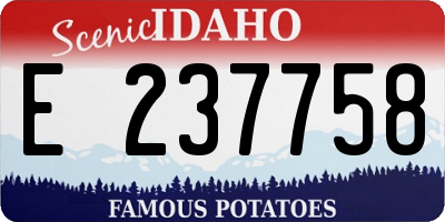ID license plate E237758