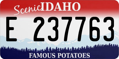 ID license plate E237763
