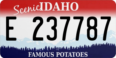 ID license plate E237787