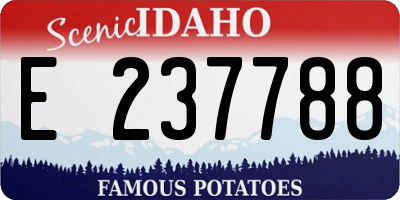 ID license plate E237788