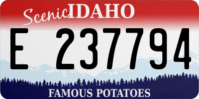 ID license plate E237794