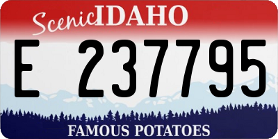 ID license plate E237795