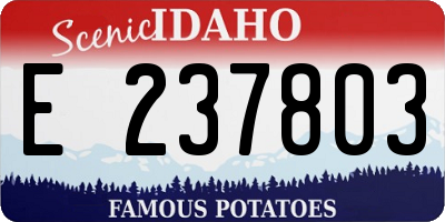 ID license plate E237803