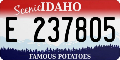 ID license plate E237805