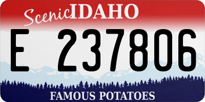 ID license plate E237806