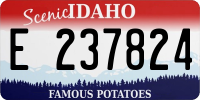 ID license plate E237824