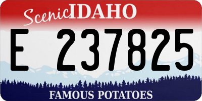 ID license plate E237825