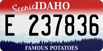 ID license plate E237836