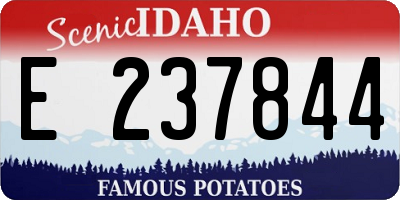 ID license plate E237844