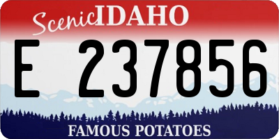 ID license plate E237856