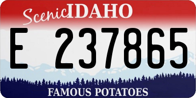 ID license plate E237865