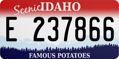 ID license plate E237866