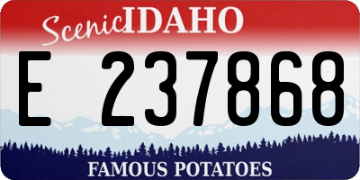 ID license plate E237868