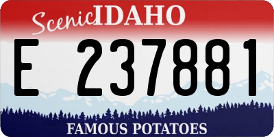 ID license plate E237881