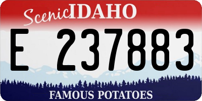 ID license plate E237883