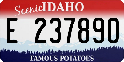 ID license plate E237890