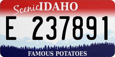 ID license plate E237891