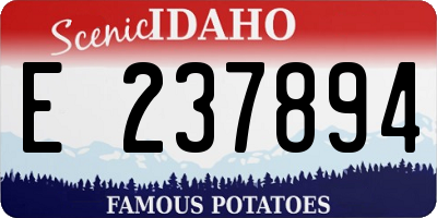ID license plate E237894