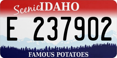 ID license plate E237902