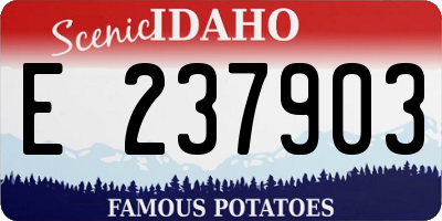 ID license plate E237903