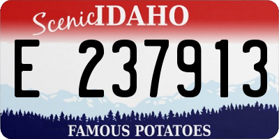 ID license plate E237913