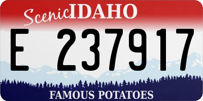 ID license plate E237917
